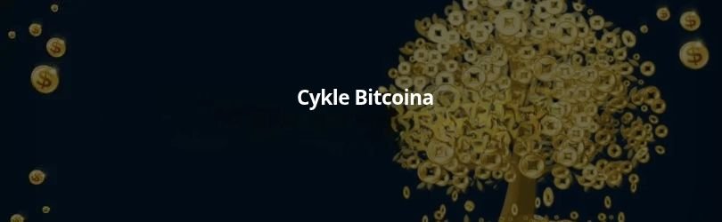 cykle bitcoina