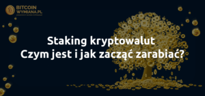 Staking kryptowalut – czym jest i jak zacząć zarabiać?