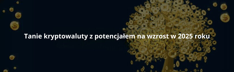 Tanie kryptowaluty z potencjałem na wzrost w 2025 roku