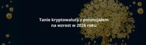 Tanie kryptowaluty z potencjałem na wzrost w 2026 roku