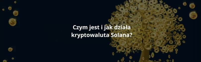 solana kryptowaluta