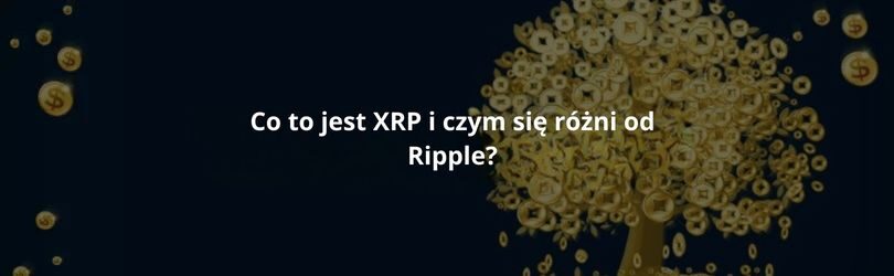co to jest xrp