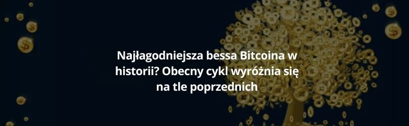 Najłagodniejsza bessa Bitcoina w historii